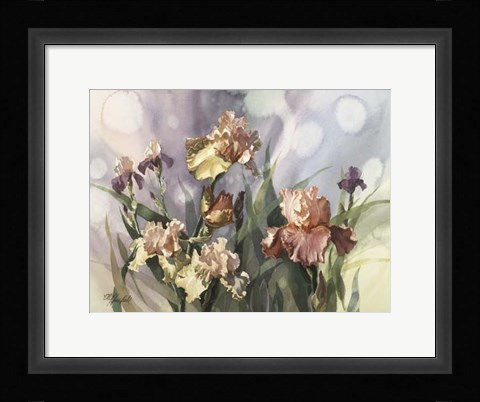 Framed Hadfield Irises V Print