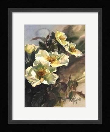 Framed Hadfield Roses I Print