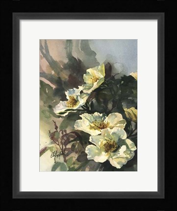 Framed Hadfield Roses II Print