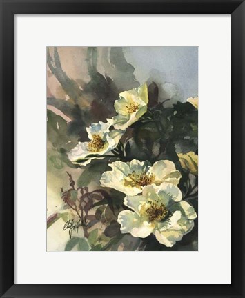 Framed Hadfield Roses II Print