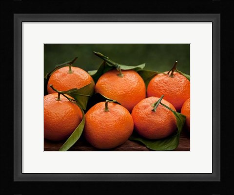 Framed Satsuma Tangerines I Print