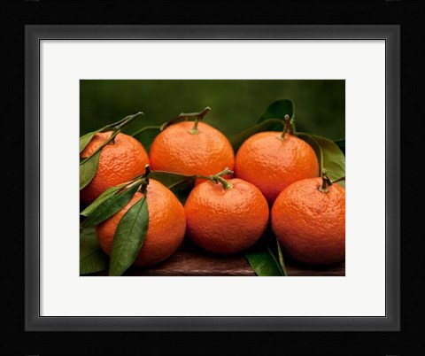 Framed Satsuma Tangerines II Print