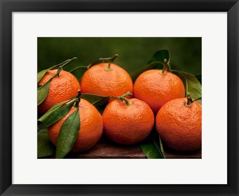 Framed Satsuma Tangerines II Print