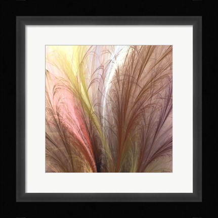 Framed Fountain Grass II Print