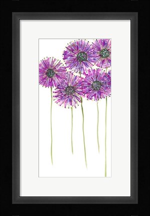 Framed Pinwheels I Print