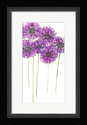 Framed Pinwheels II Print