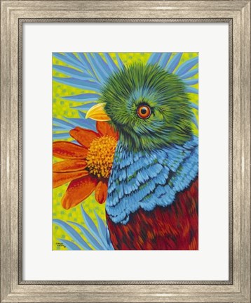 Framed Bird in the Tropics II Print