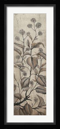 Framed Branch &amp; Blossoms II Print