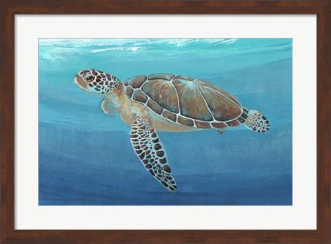 Framed Ocean Sea Turtle II Print