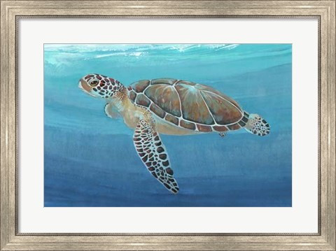 Framed Ocean Sea Turtle II Print