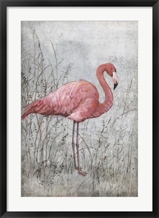 Framed American Flamingo I Print