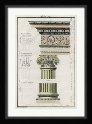 Framed Ionic Order Print