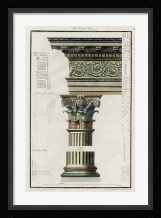 Framed Corinthian Order Print