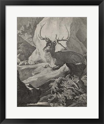Framed Woodland Deer VIII Print
