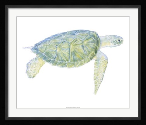 Framed Tranquil Sea Turtle I Print