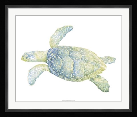Framed Tranquil Sea Turtle II Print