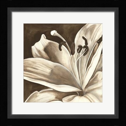 Framed Sepia Lily I Print