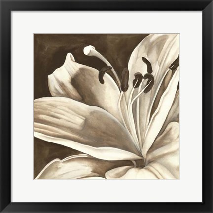 Framed Sepia Lily I Print