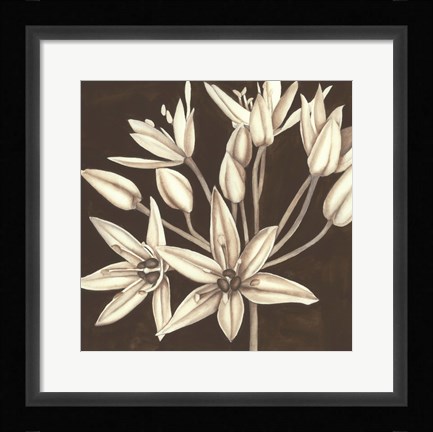 Framed Sepia Lily IV Print