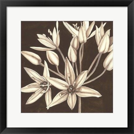Framed Sepia Lily IV Print