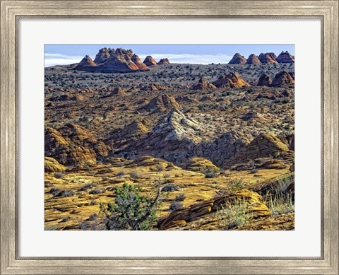 Framed View from Coyote Buttes Print