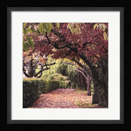 Framed Arch of Trees Print