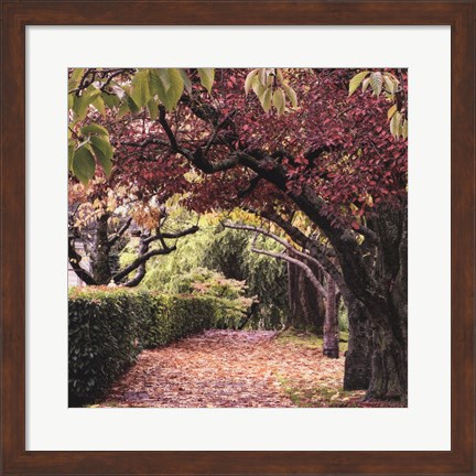 Framed Arch of Trees Print