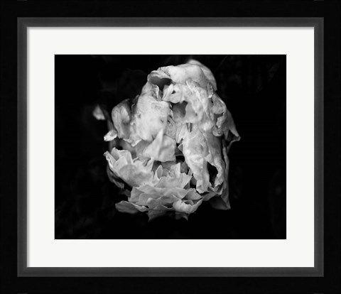 Framed Poetry II Print