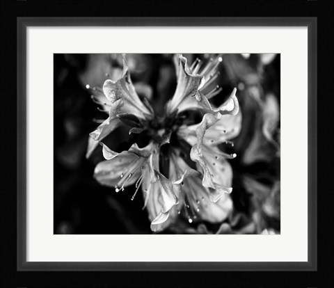 Framed Poetry VII Print