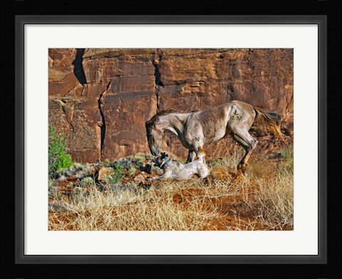 Framed Running Horses I Print