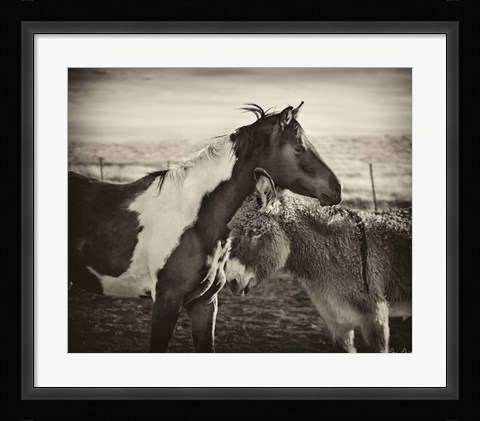 Framed Kissing Horses II Print