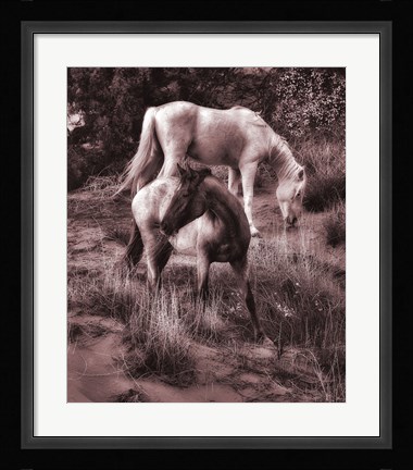 Framed Beach Horses II Print