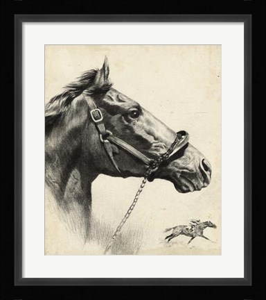 Framed Whirlaway Print