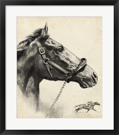 Framed Whirlaway Print