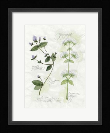 Framed Oregano &amp; Mint Print