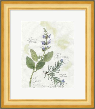 Framed Rosemary &amp; Sage Print