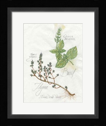 Framed Basil &amp; Thyme Print