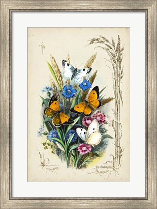 Framed Victorian Butterfly Garden I Print
