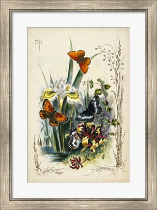 Framed Victorian Butterfly Garden II Print