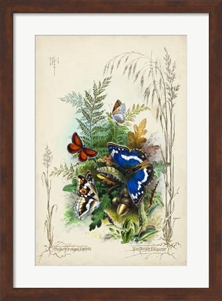 Framed Victorian Butterfly Garden III Print