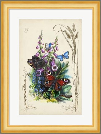 Framed Victorian Butterfly Garden VI Print