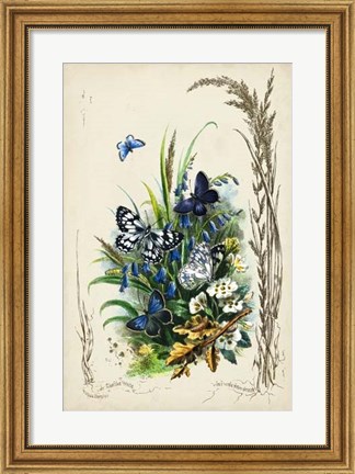Framed Victorian Butterfly Garden VIII Print