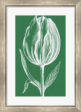 Framed Chromatic Tulips II Print