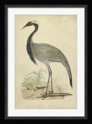 Framed Morris Crane II Print