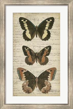 Framed Butterfly Script I Print