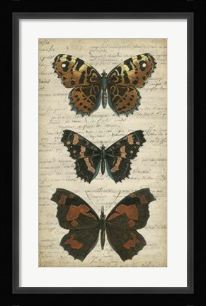 Framed Butterfly Script II Print