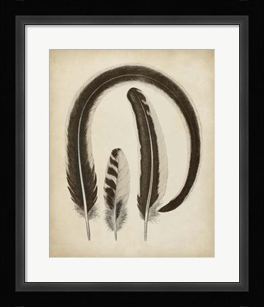 Framed Vintage Feathers III Print