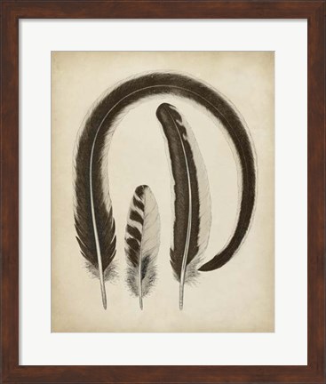 Framed Vintage Feathers III Print