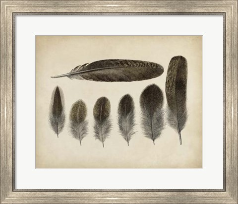 Framed Vintage Feathers VI Print