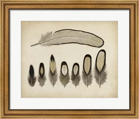 Framed Vintage Feathers IX Print